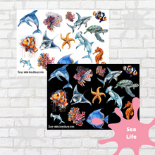 Load image into Gallery viewer, Sea Life Deco Stickers
